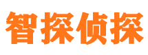 宝安外遇调查取证